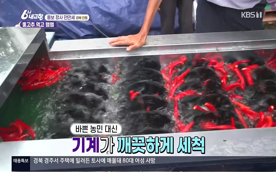 6시 내고향.E7611.220907p.H264-F1RST.mp4_20220908_204247.404.jpg