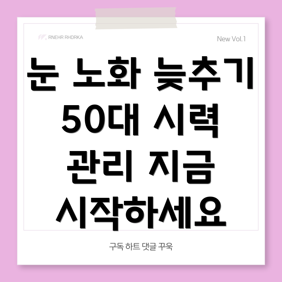 눈의 노화