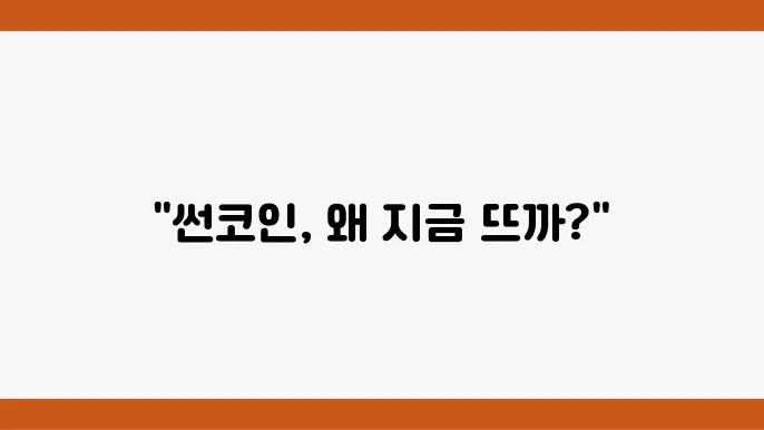 써코인 SUN 상승에 대한 투자자들의 반응