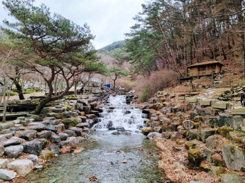 주말 가볼만한곳 베스트10 대구여행 가볼만한곳 팔공산 9