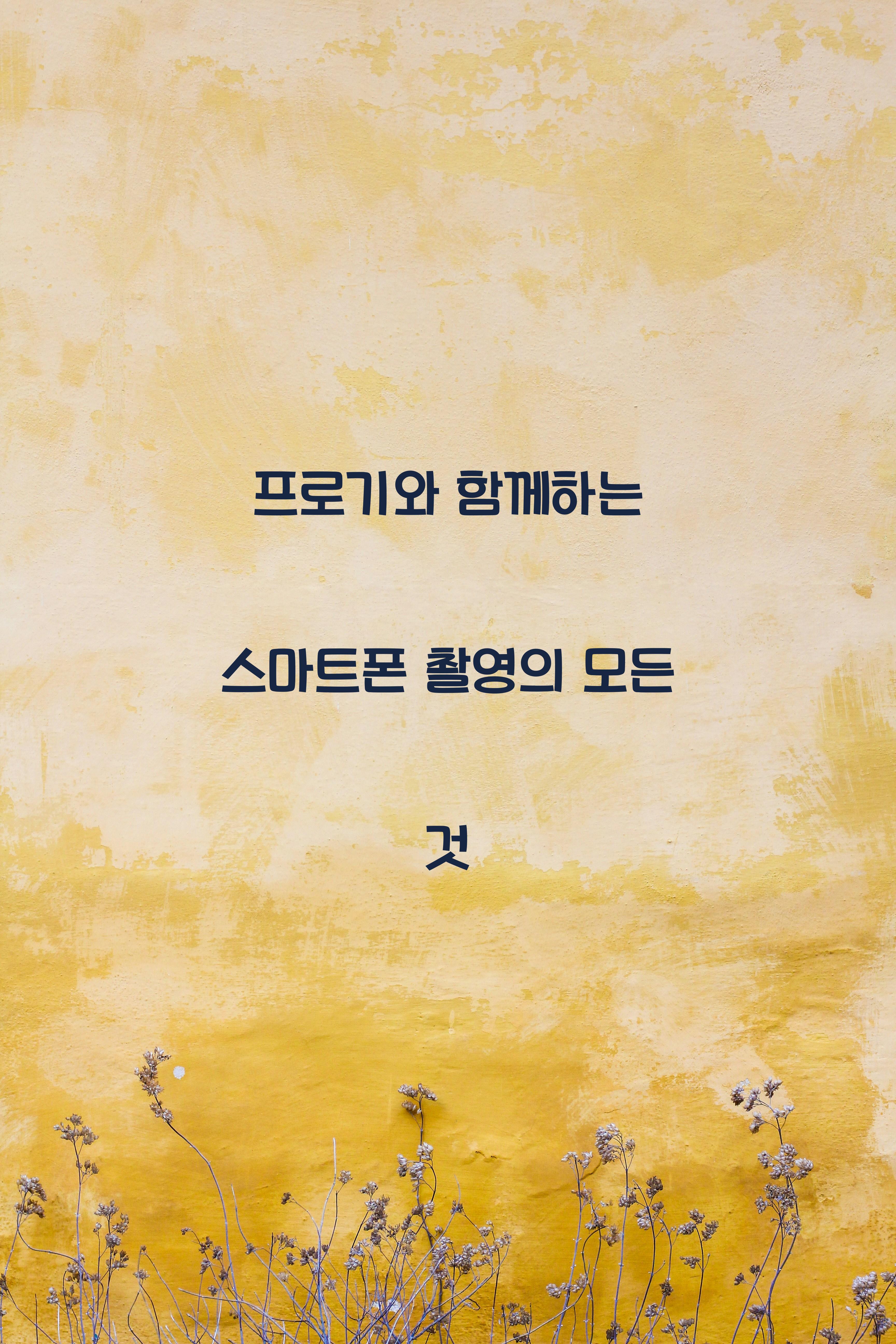 프로기