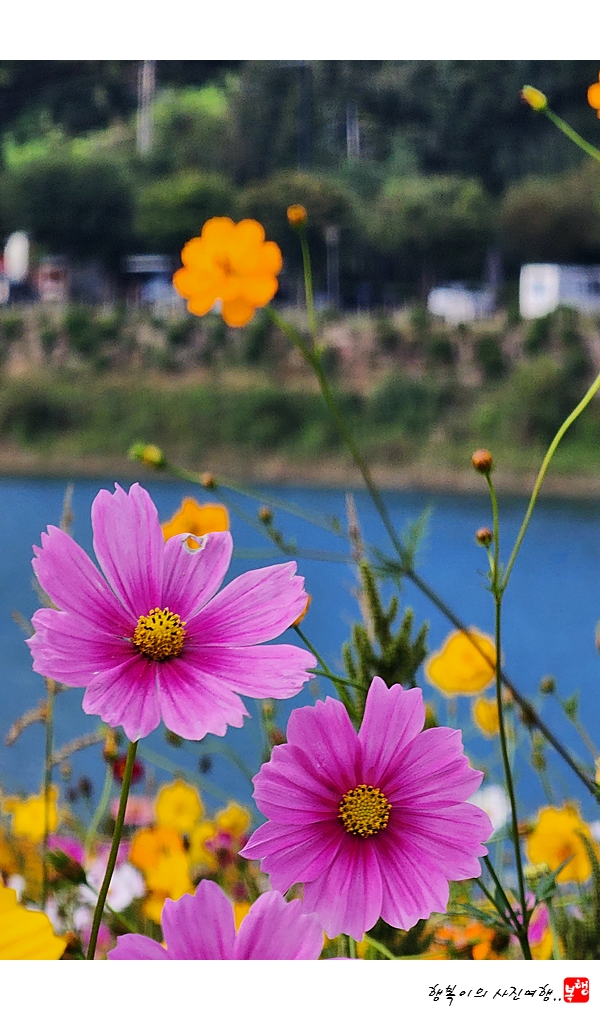 도담정원 이미지