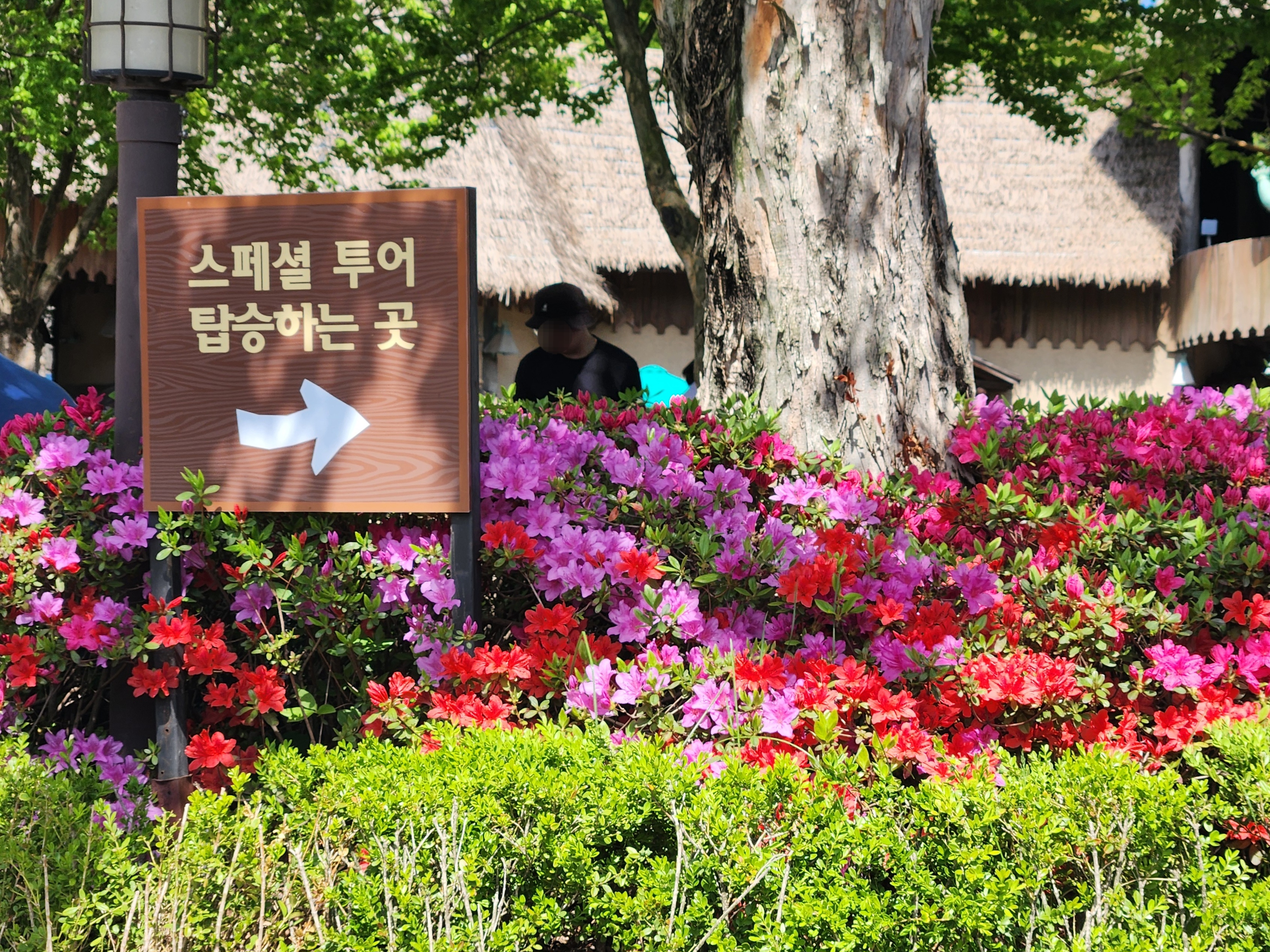 (주)에버투어 이미지