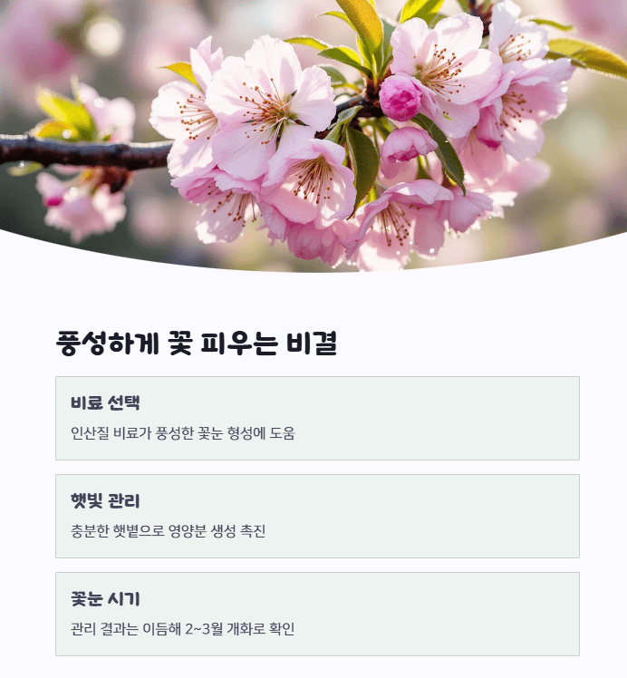 매실나무 꽃
