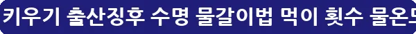 제브라다니오 키우기 출산징후 수명 물갈이법 먹이 횟수 물온도_18