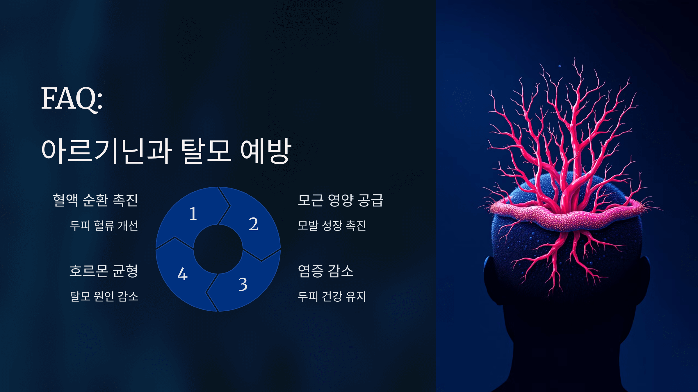 아르기닌과 관련된 사진입니다.