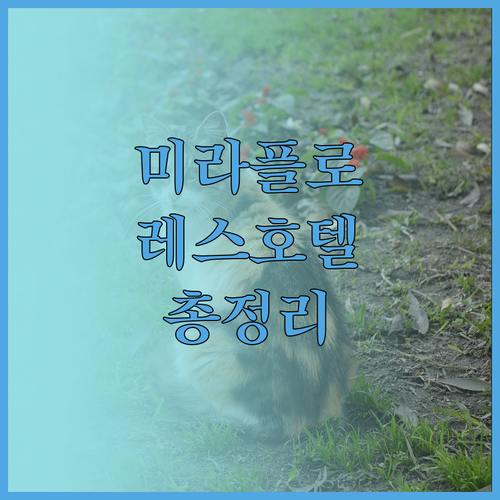 미라플로레스 호텔 완벽 분석 위치, 