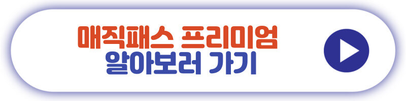 매직패스 프리미엄