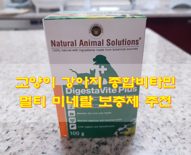  고양이 강아지 종합비타민 멀티 미네랄 보충제 추천