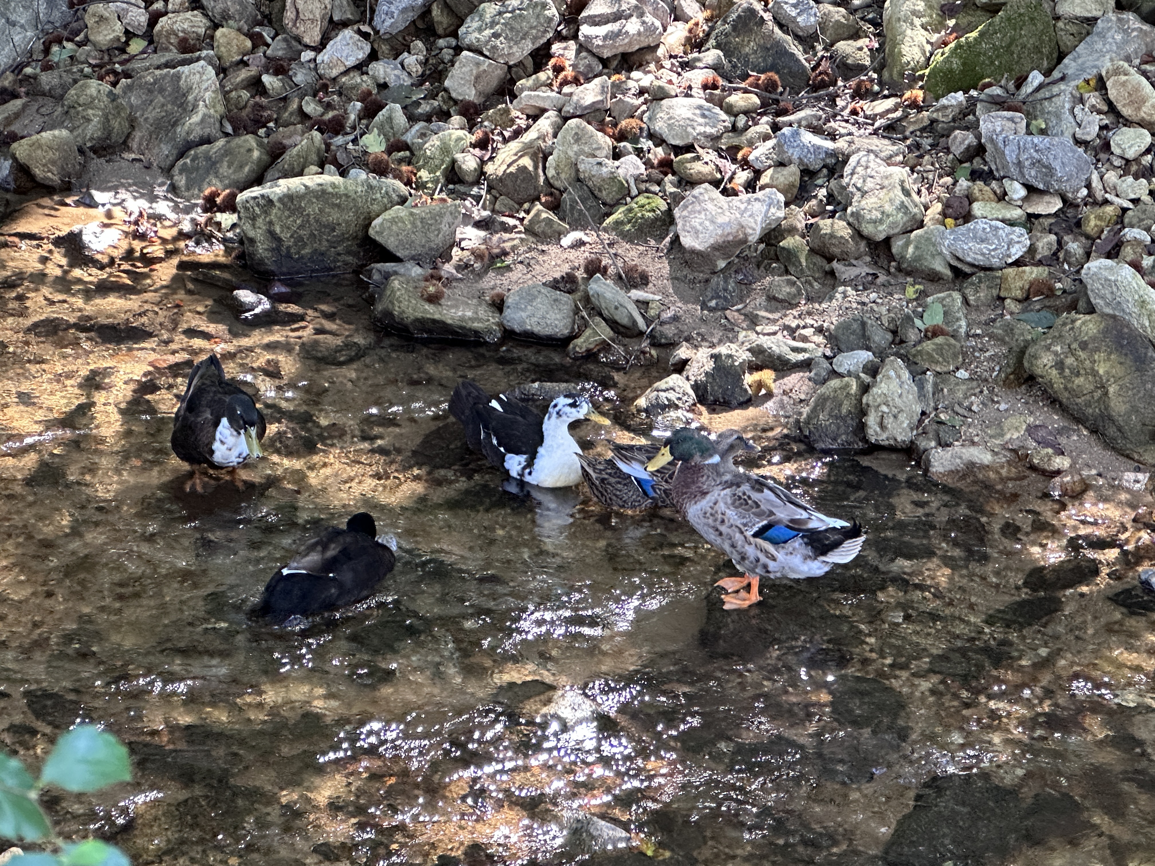 용인 가볼만한곳