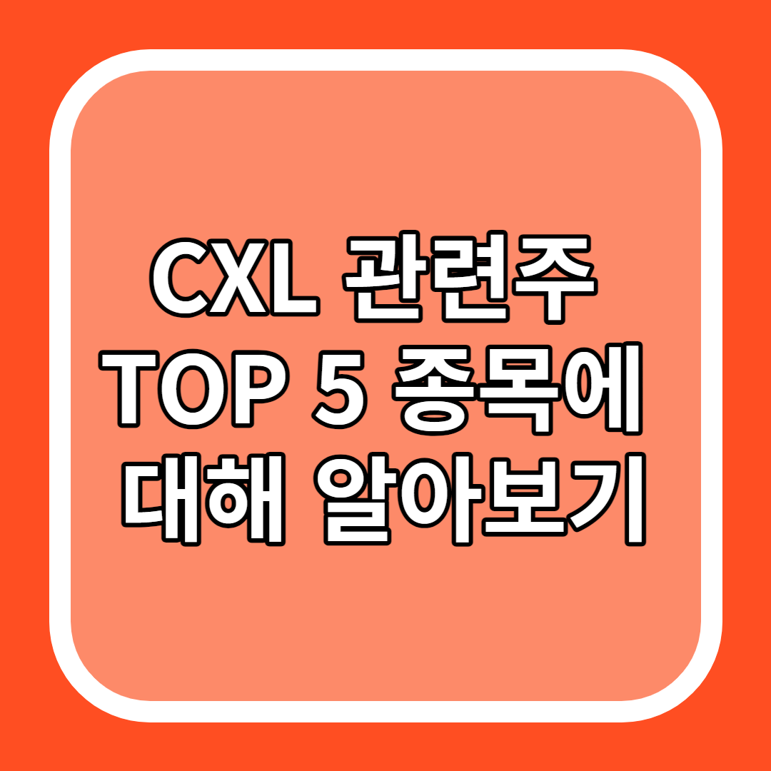 CXL 관련주 TOP 5 종목에 대해 알아보기