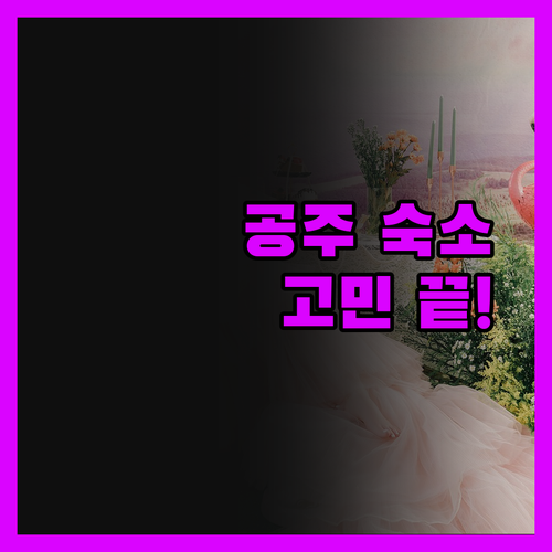 DC 호텔 샤를루아 에어포트, 공항 