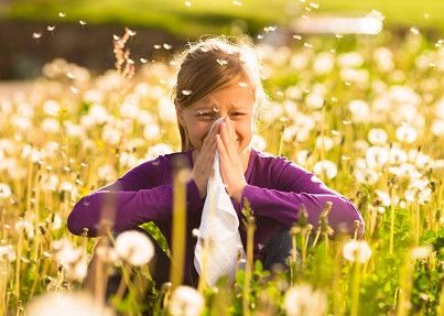 꽃가루 알레르기 증상