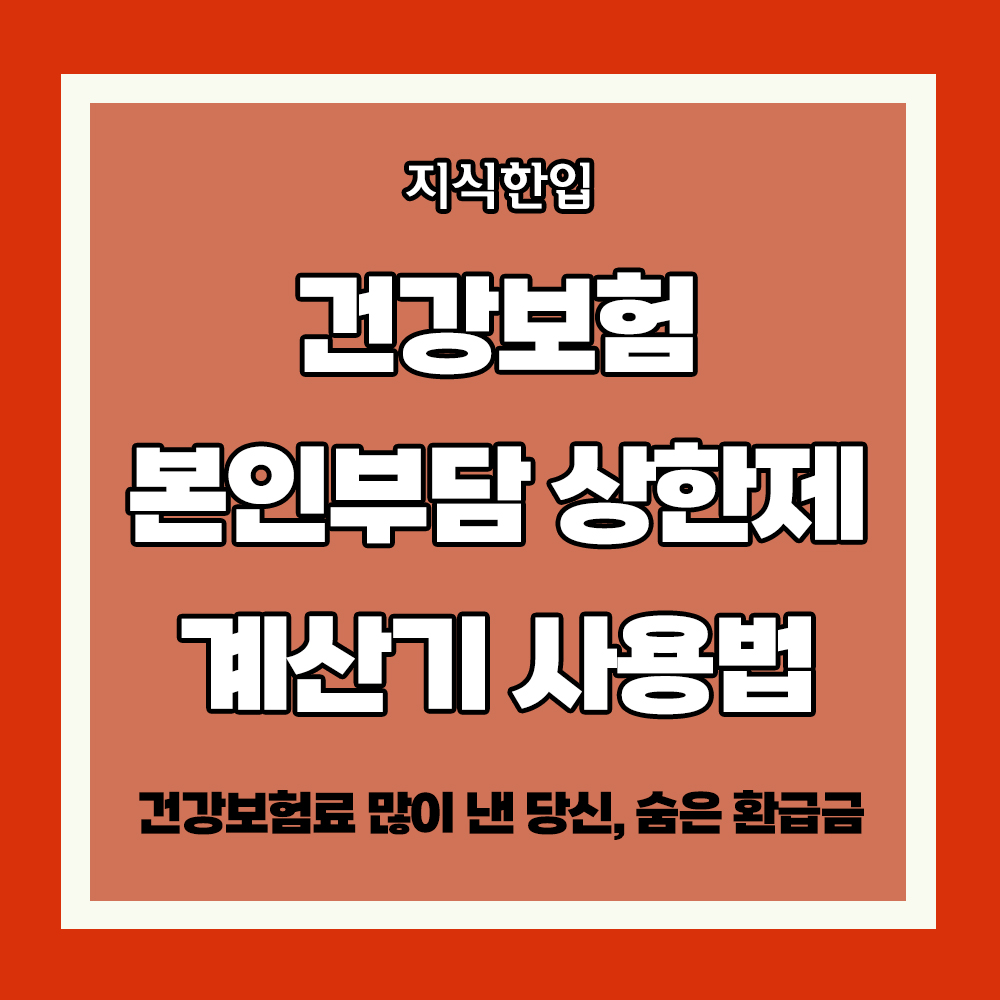 건강보험 본인부담 상한제 환급금 계산기 사용법