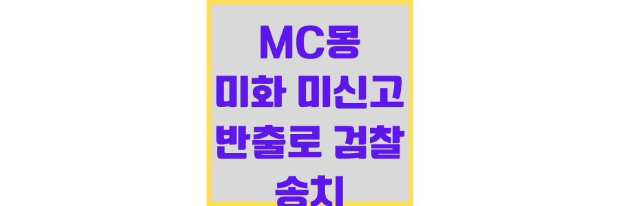 MC몽-미화-미신고-반출로-검찰-송치