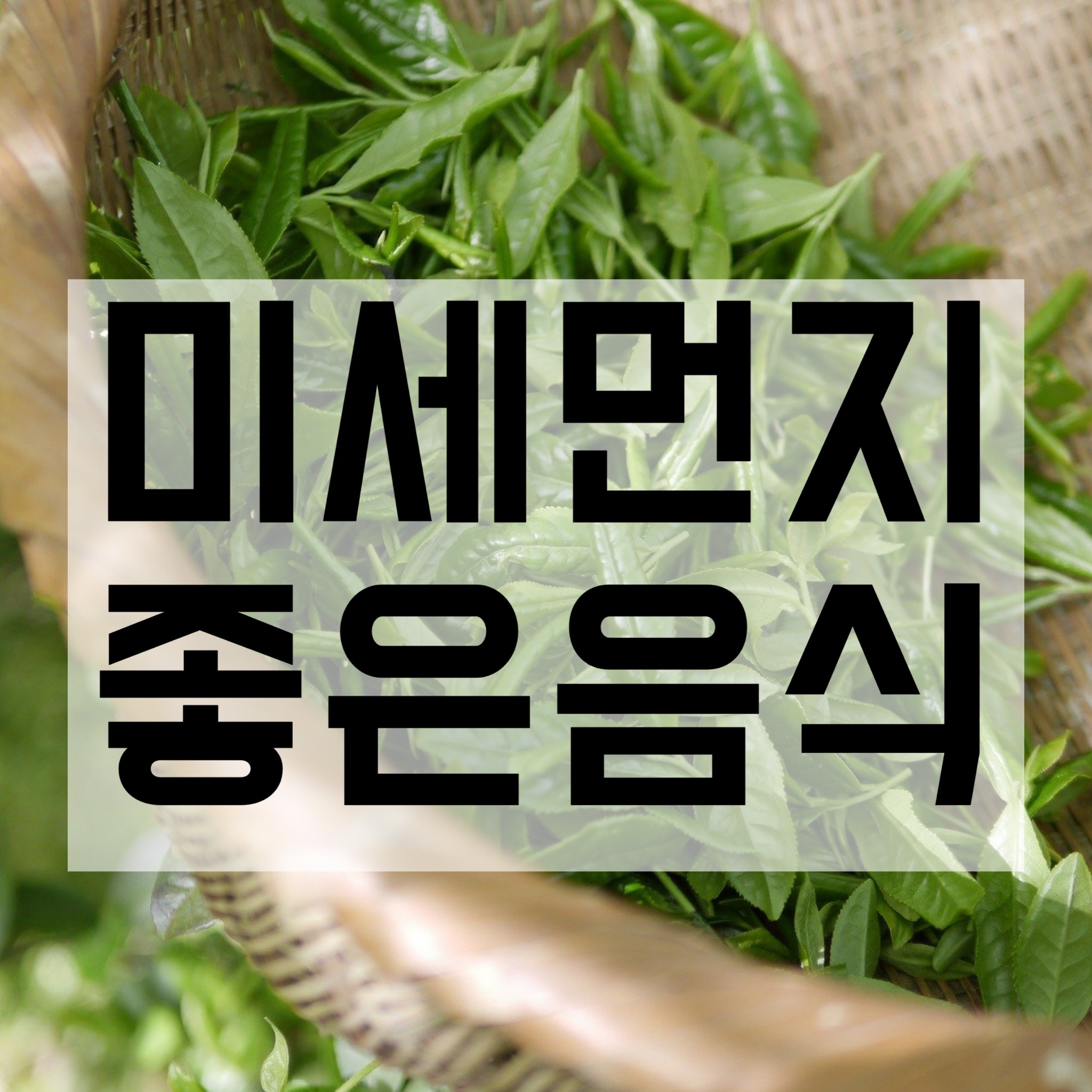  미세먼지에 좋은 음식