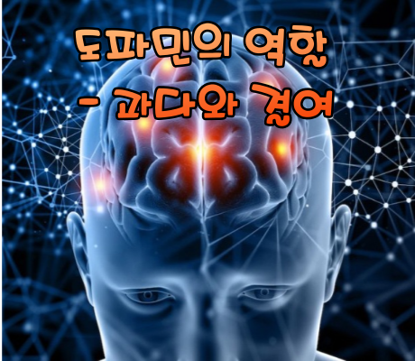 도파민(Dopamine)의 역할 - 과다와 결여
