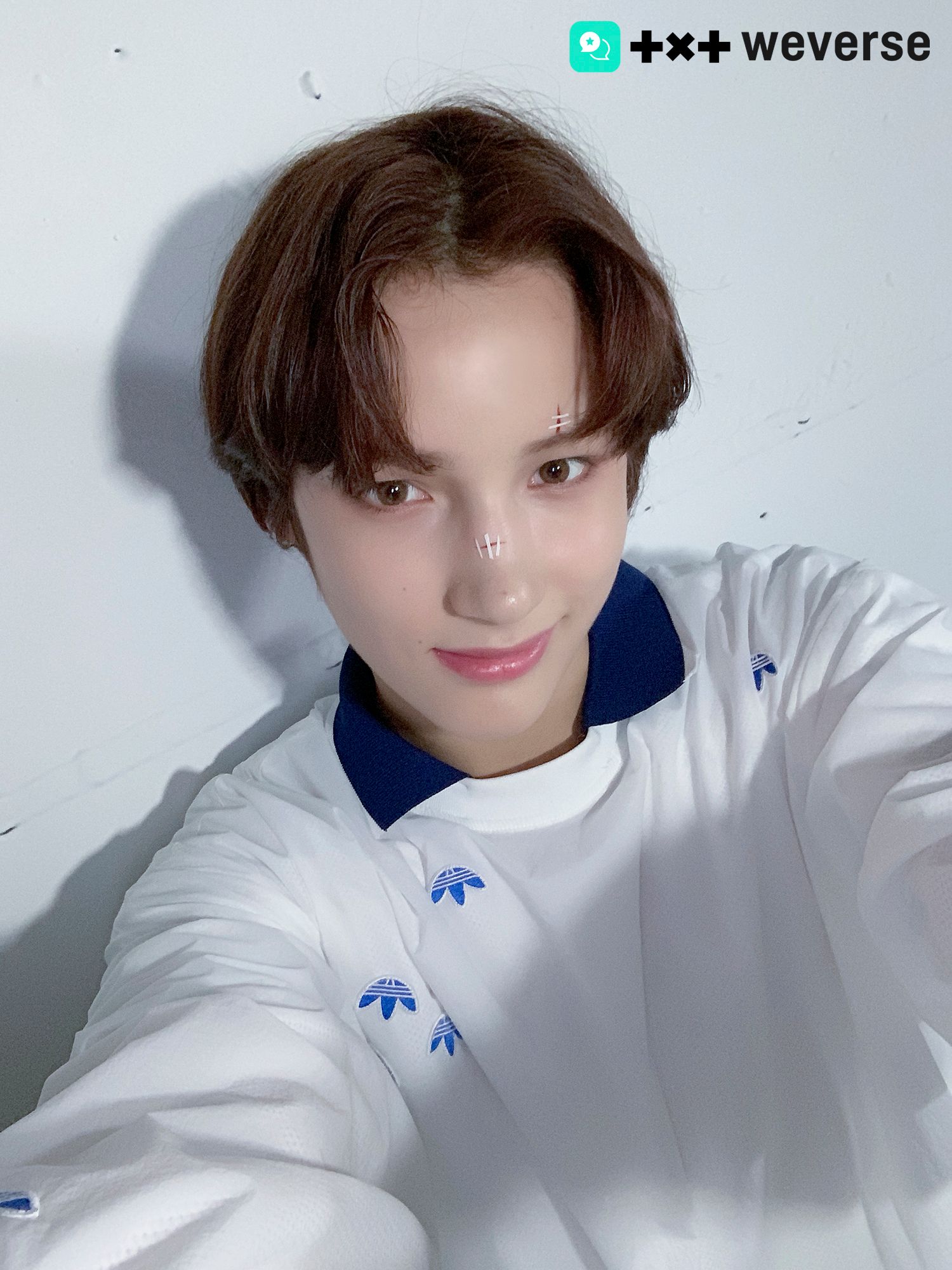 img.jpg