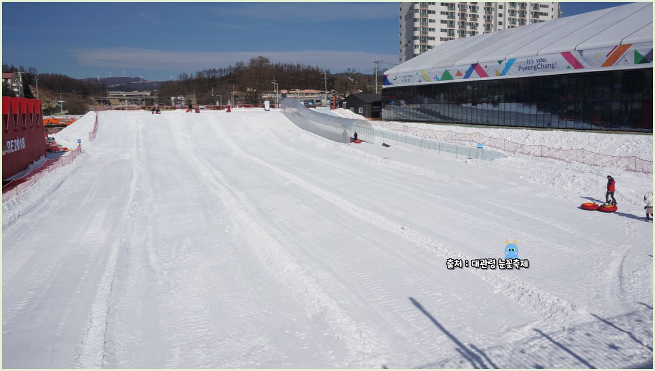 대관령 눈꽃축제 2024 소개