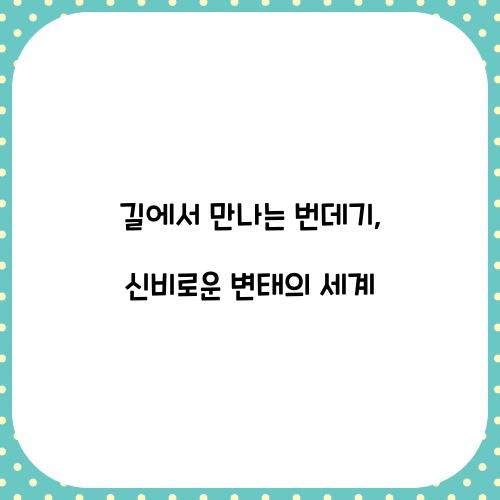 길에서 만나는 번데기, 어떤 곤충일까?