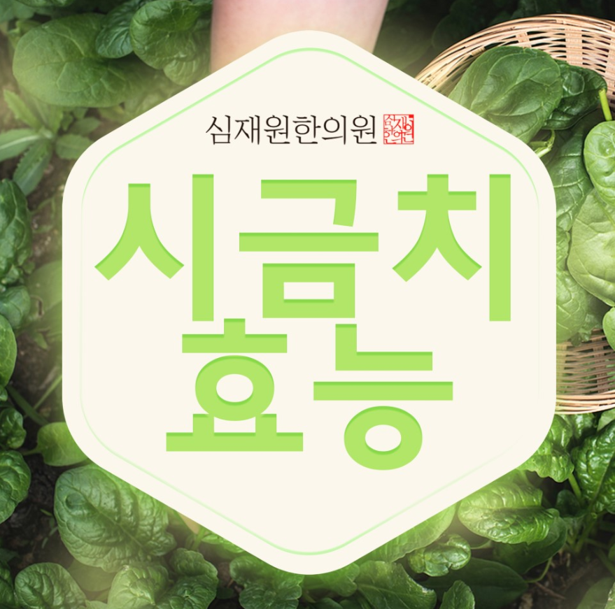  시금치 효능 뽀빠이 힘의 원천