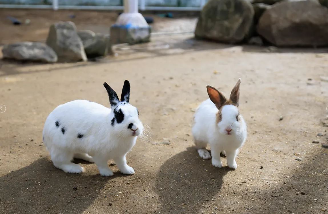 김해 가야랜드