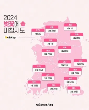 벚꽃 개화시기 2025년 지역별 모음_49