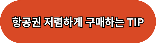 항공권 이름 변경 방법 및 수수료