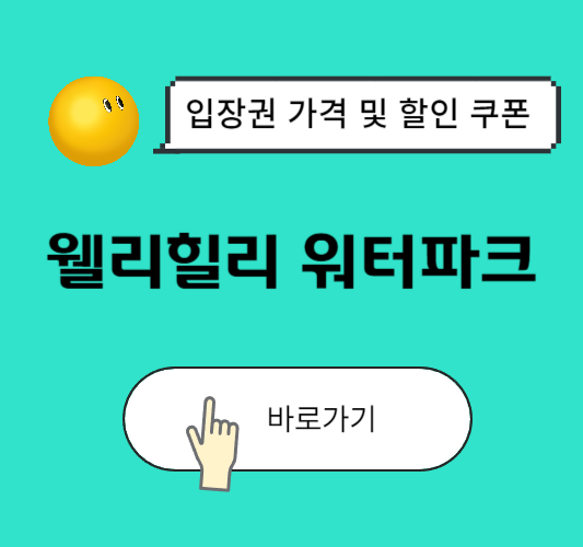 웰리힐리-워터파크-워터플래닛-가격