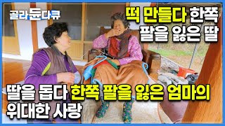 함평 손불신촌 떡집