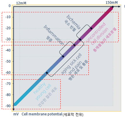 양자의학이란? healy작동원 6