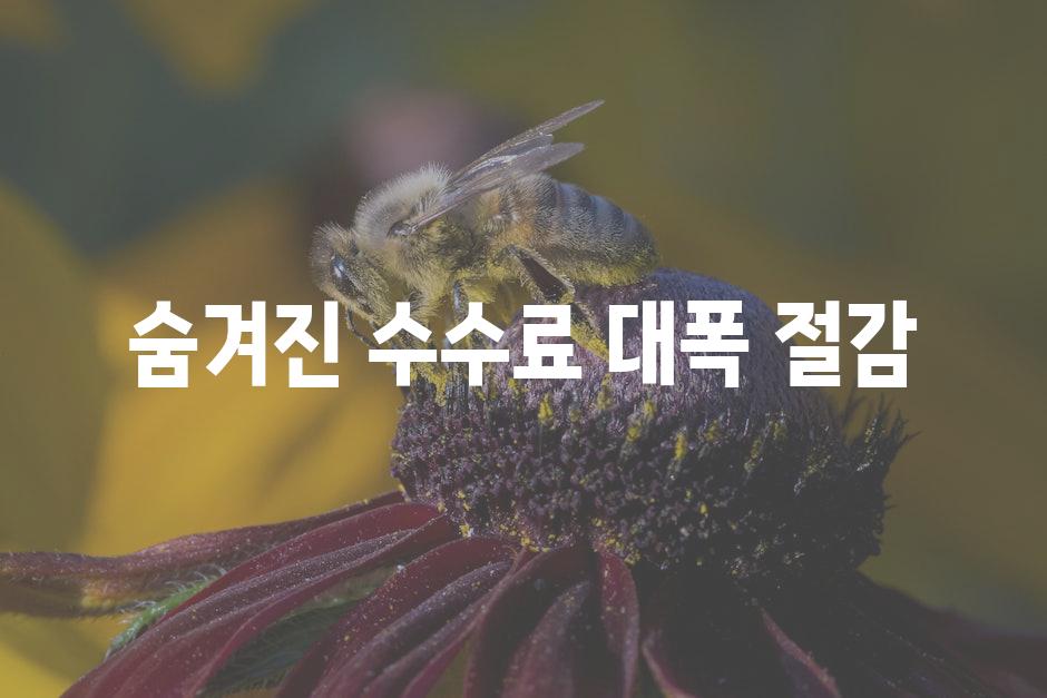 숨겨진 수수료 대폭 절감