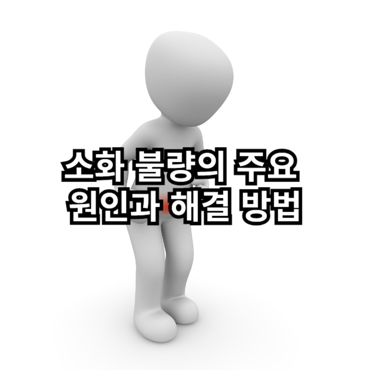 소화 불량의 주요 원인과 해결 방법