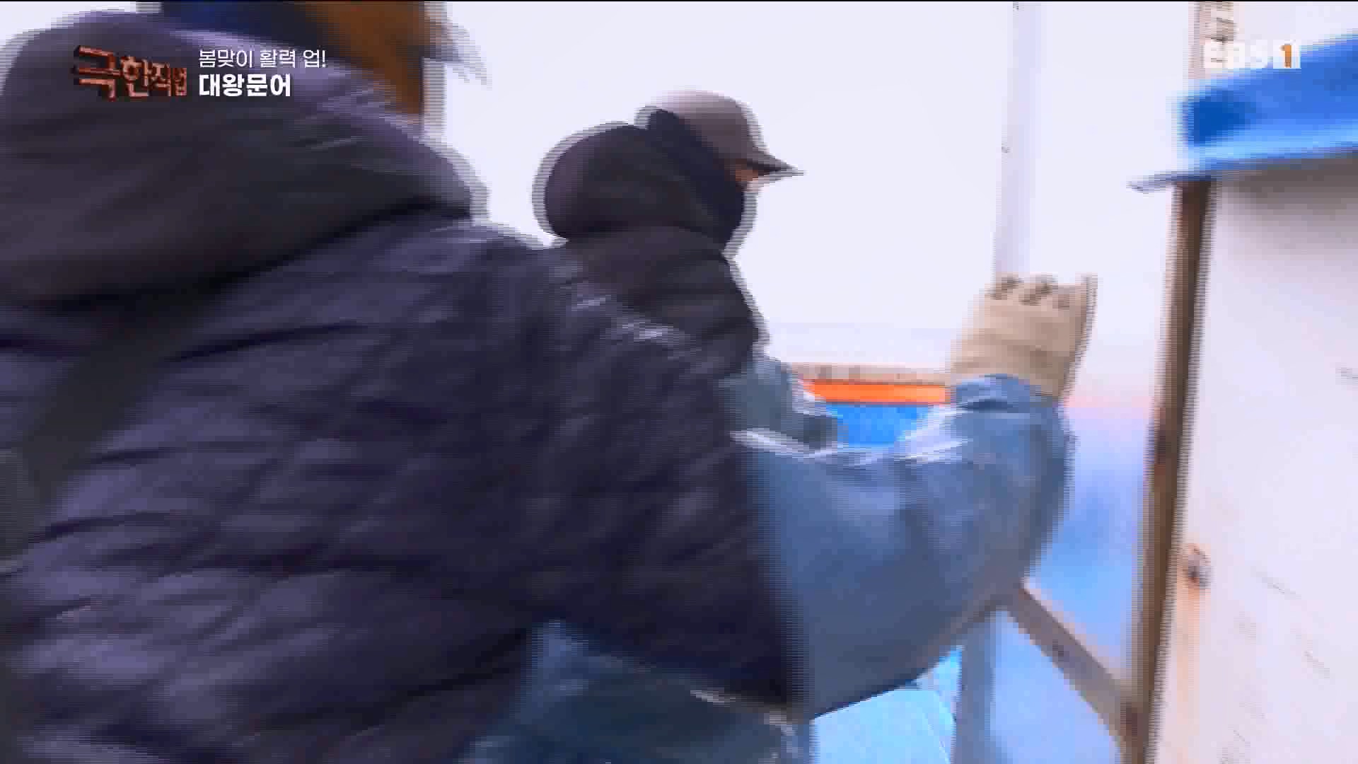 [극한 직업] 장어와 대왕문어 240316.mp4_20240317_153640.627.jpg