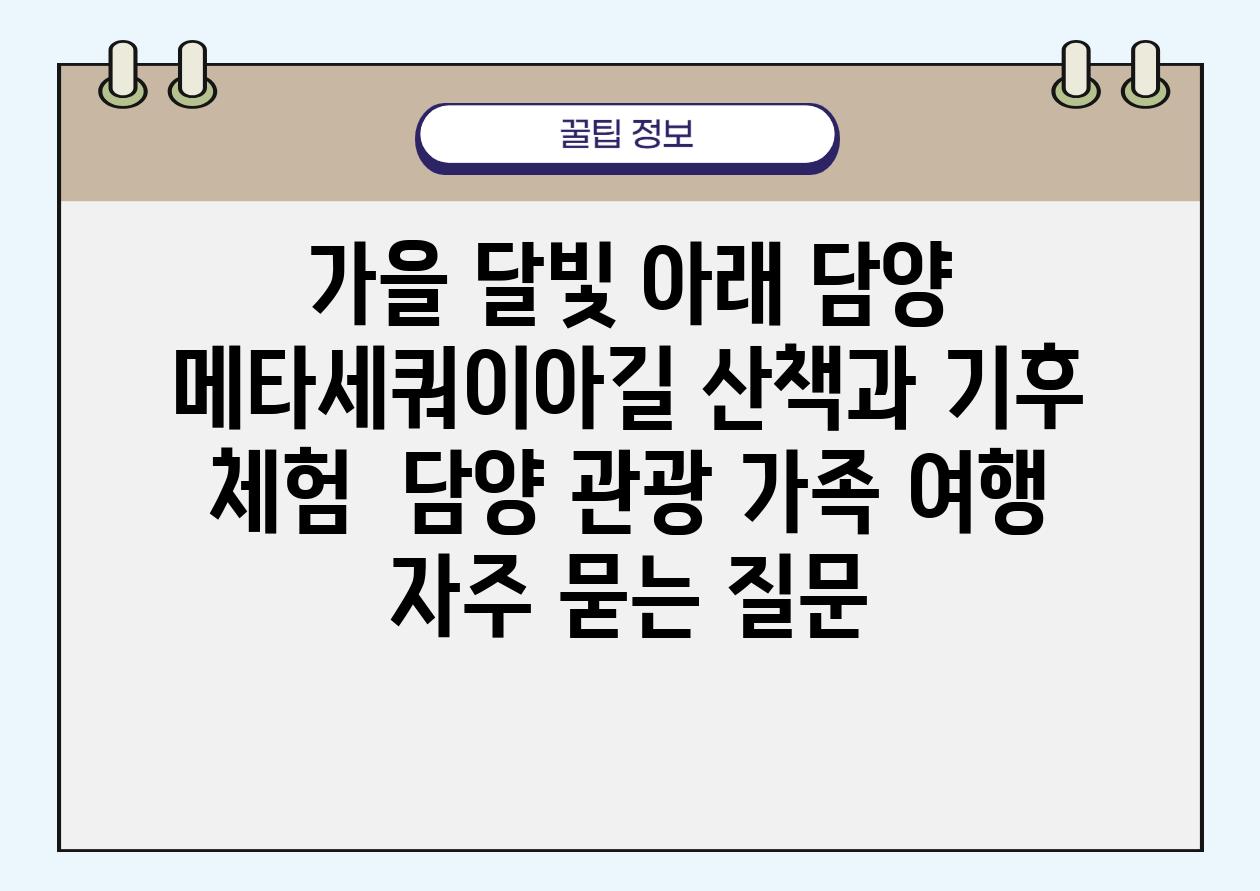 가을 달빛 아래, 담양 메타세쿼이아길 산책과 기후 체험 | 담양 관광, 가족 여행