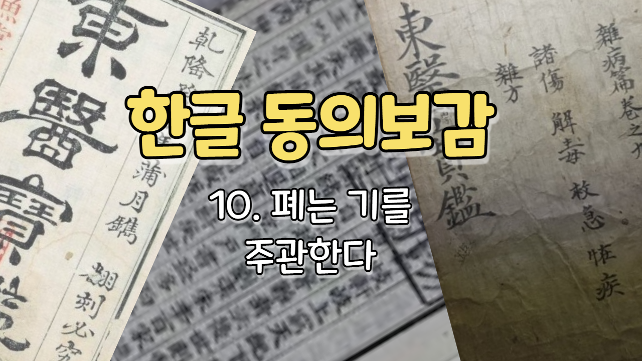  10. 폐는 기를 주관한다[肺主氣]  ( 내경편 기 )