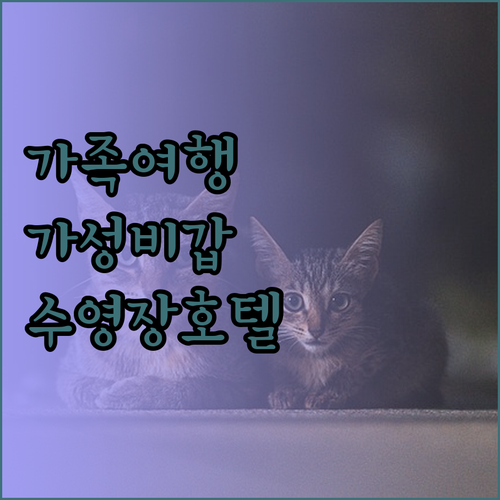 김포 호텔 마리나베이 서울 가족 여행