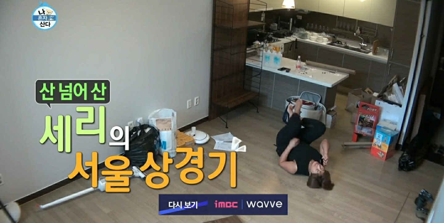  나혼자산다 박세리 서울이사