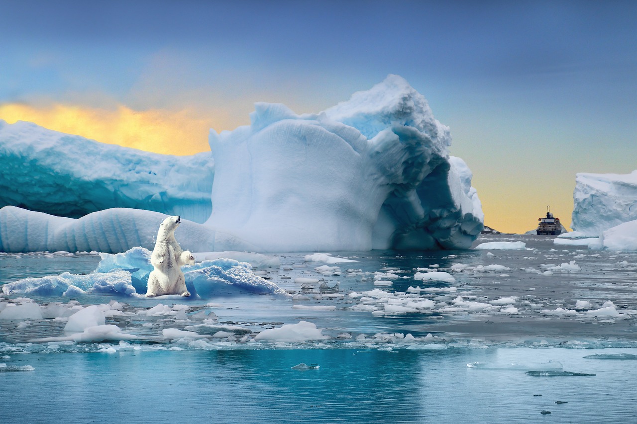 심각한 지구온난화와 북극곰의 위기