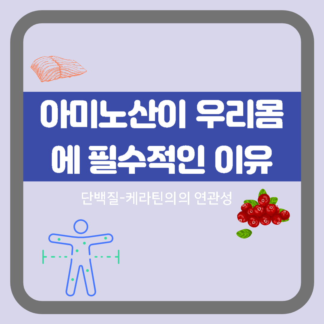  아미노산이 우리 몸에 필수적인 이유, 단백질-케라틴 연관성