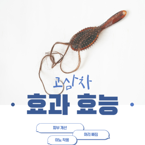 고삼차-효능