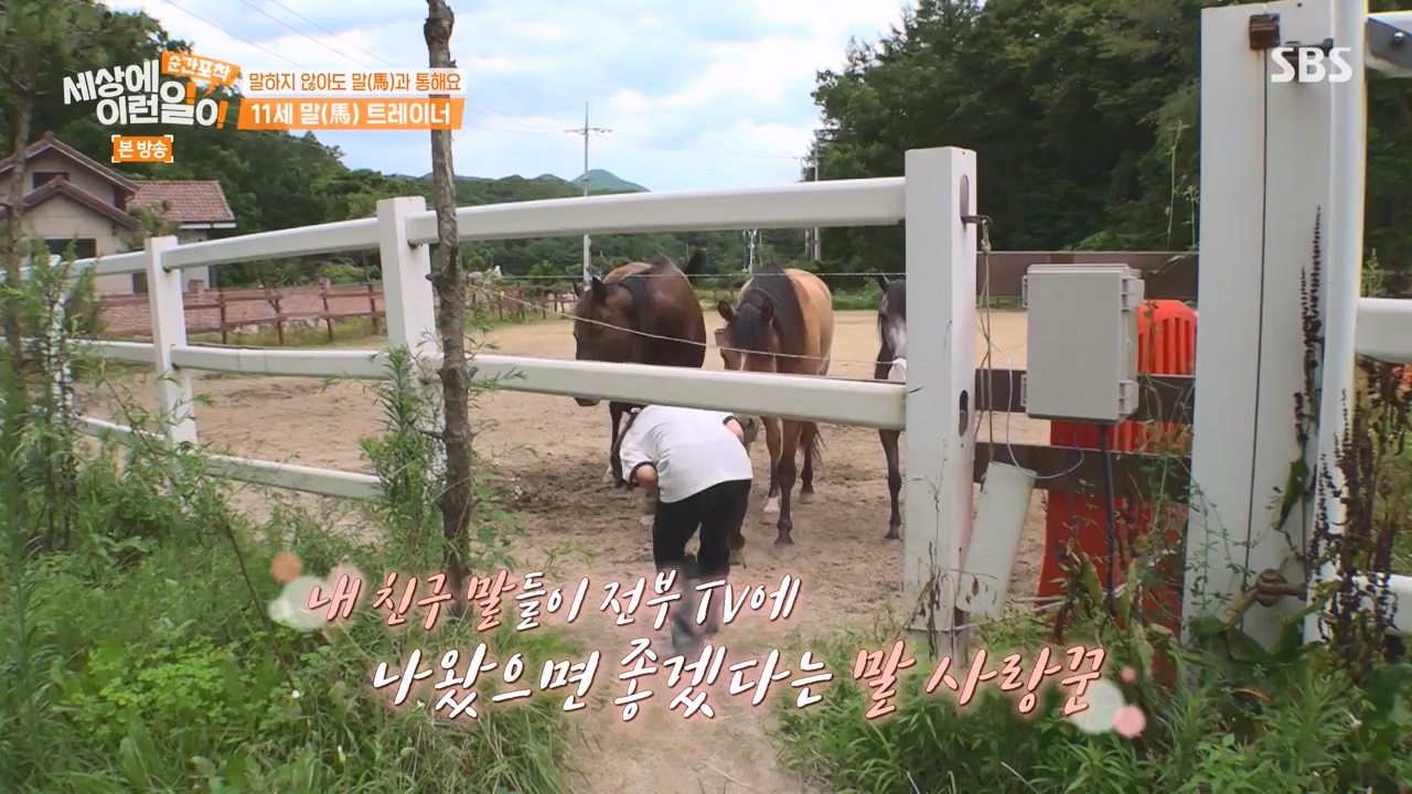 순간포착 세상에 이런일이.E1240.230806p-NEXT.mp4_20230806_161416.543.jpg