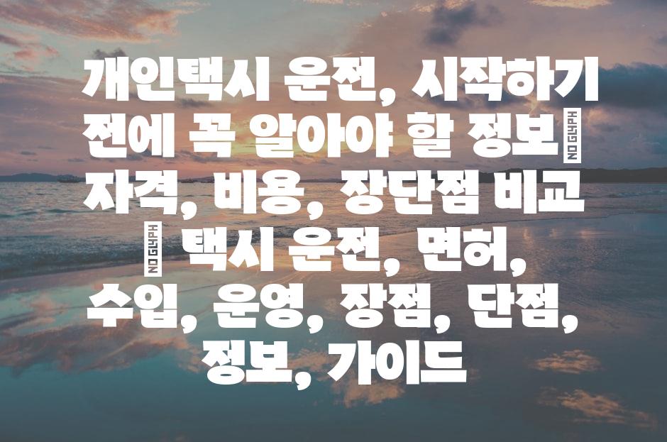 샘플 (81)