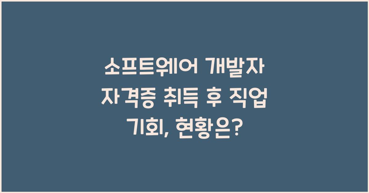 소프트웨어 개발자 자격증 취득 후 직업 기회