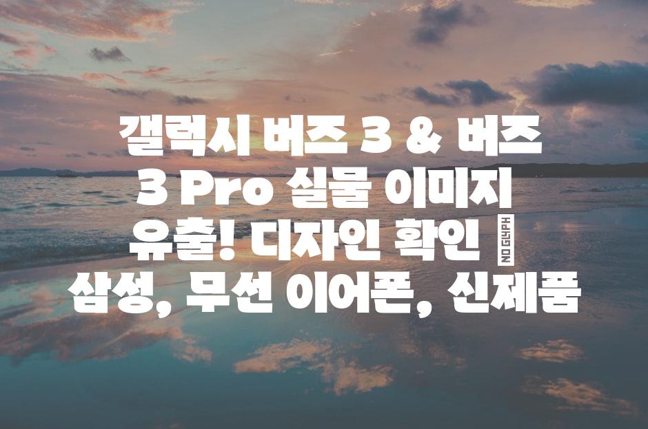 샘플 (81)