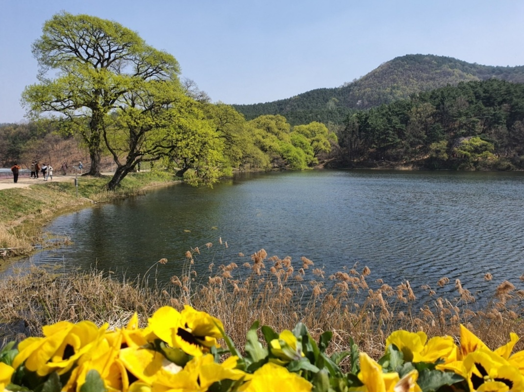샛별모모 카톡 캡쳐 16