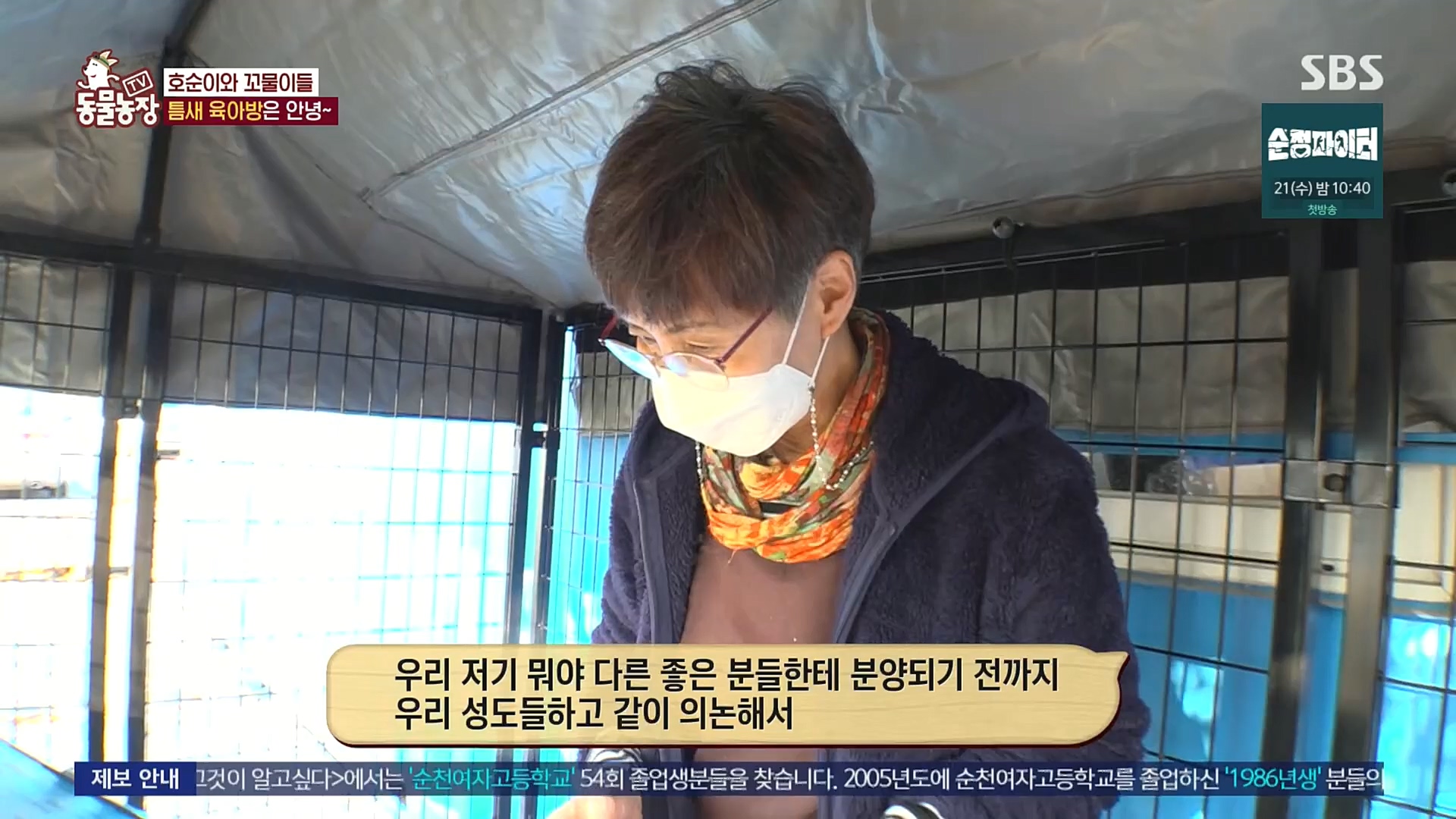 TV 동물농장.E1100.221218p.H264-F1RST.mp4_20221218_183442.956.jpg