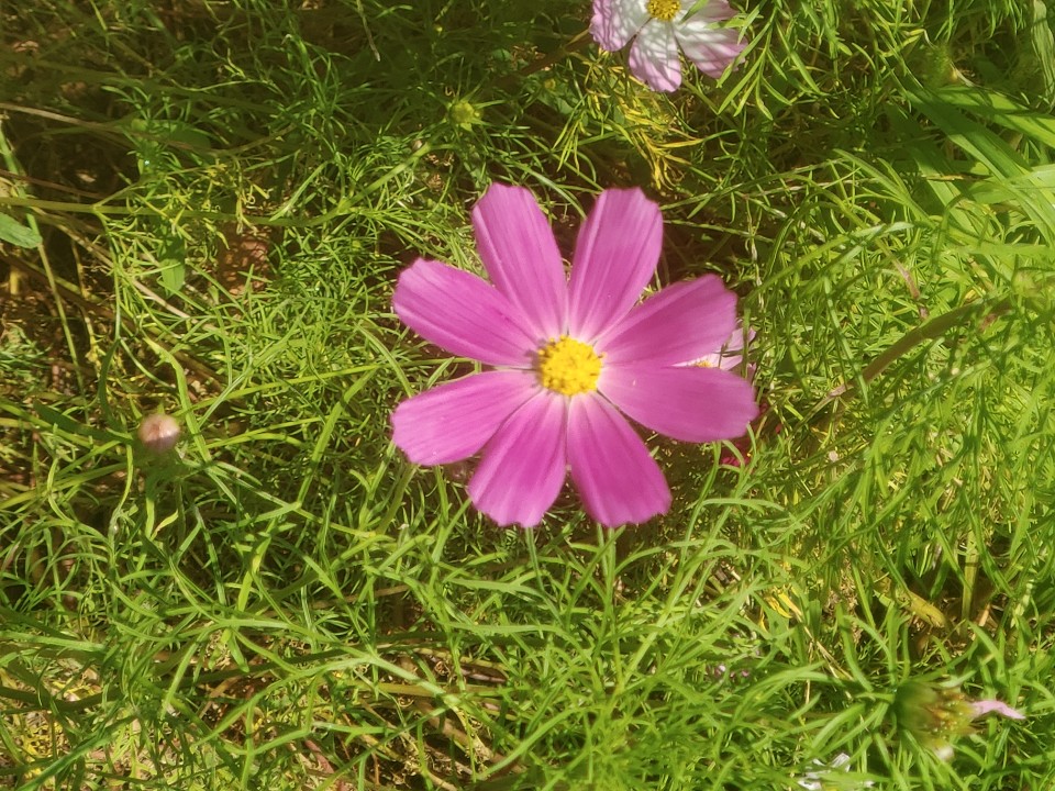  생수단식  6일차