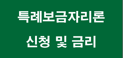 특례보금자리론