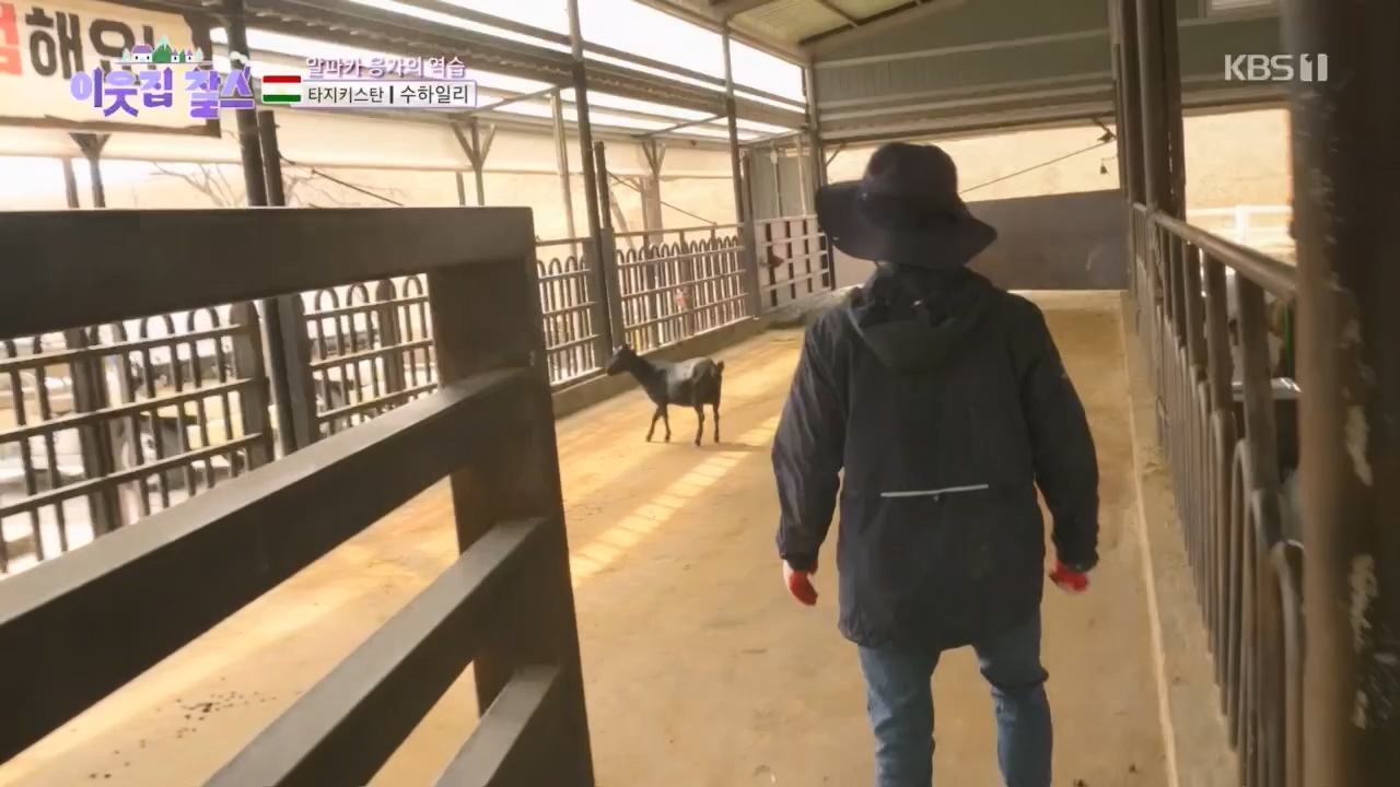 이웃집 찰스.E383.230419p.H264-F1RST.mp4_20230419_202141.765.jpg